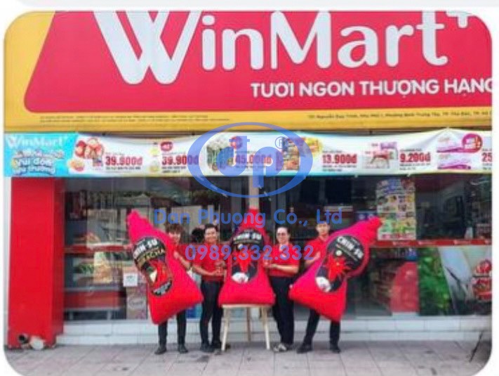 Gối Chinsu Winmart